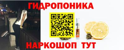 сатива Краснознаменск