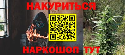 сатива Краснознаменск