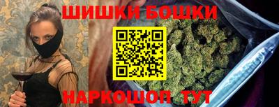 сатива Краснознаменск