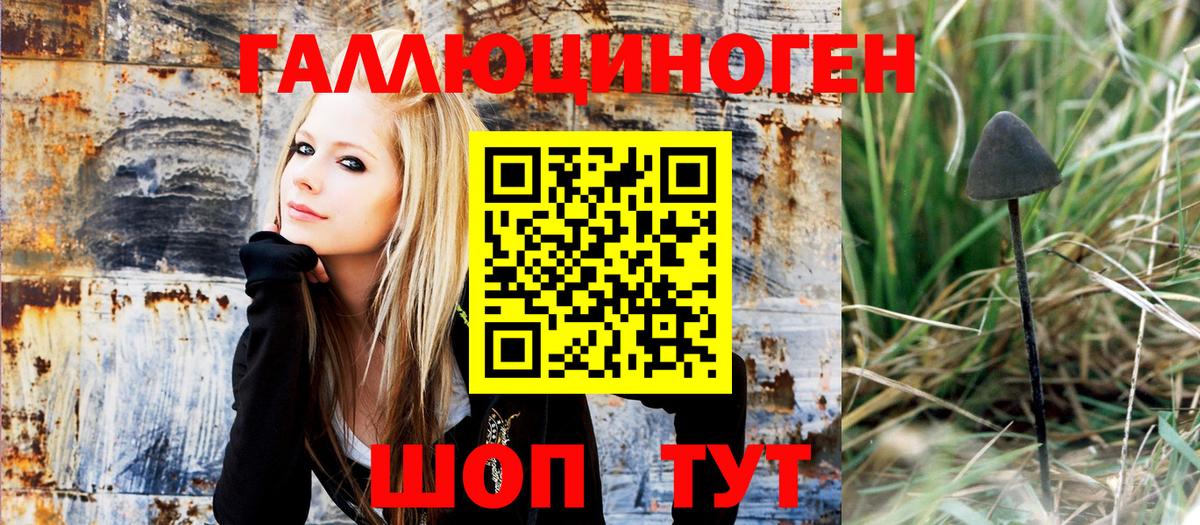 Псилоцибиновые грибы MAGIC MUSHROOMS  Галлюциногенные грибы GOLDEN TEACHER  Вход с VPN  Ефремов 
