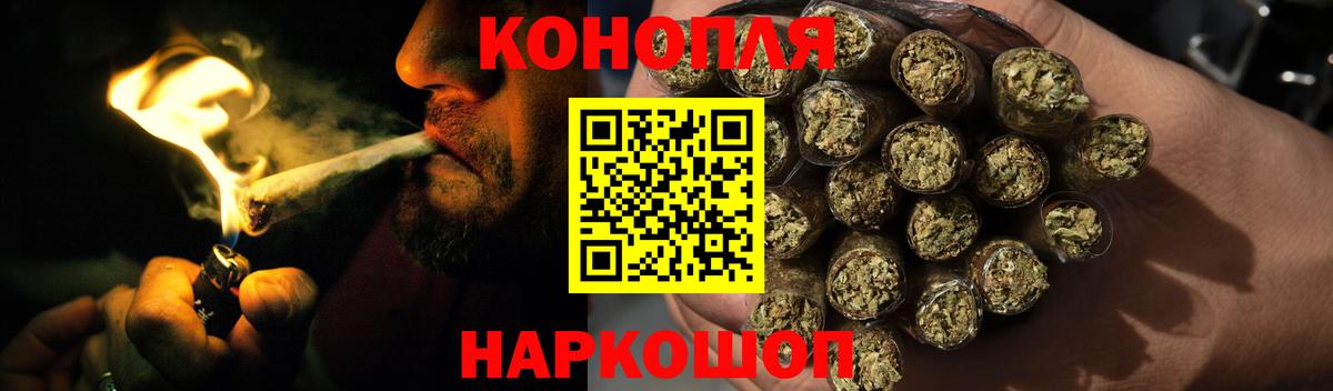 Шишки марихуана марихуана Ефремов
